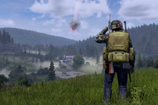 Crucial Survival Techniques for DayZ: Advice You Must Be Aware Of
