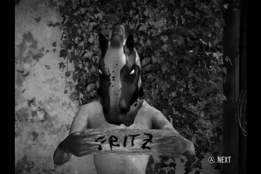 A Comprehensive Review of Horses: Characteristics, Breeds, and Care