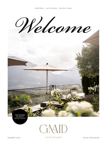 Answer to the Apricot Flower Prize Quiz in Where Winds Meet