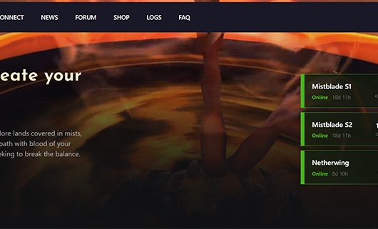 Benefits of Using Private Servers in The Forge