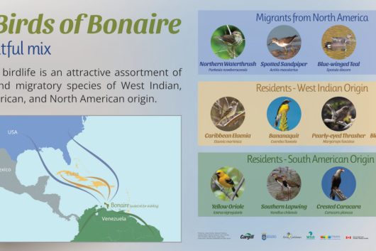 Evaluating the Effectiveness of the Fisch Scavenger Enchant