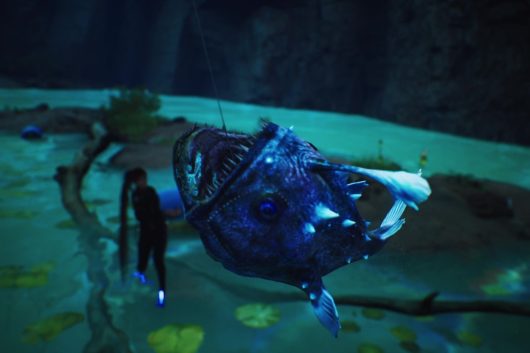 Guide to Obtaining the Fisch Blade of Gorp Rod