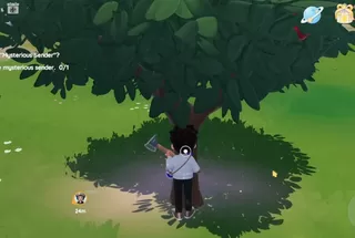 Heartopia Doris Locations: Spawn Times and Inventory Details