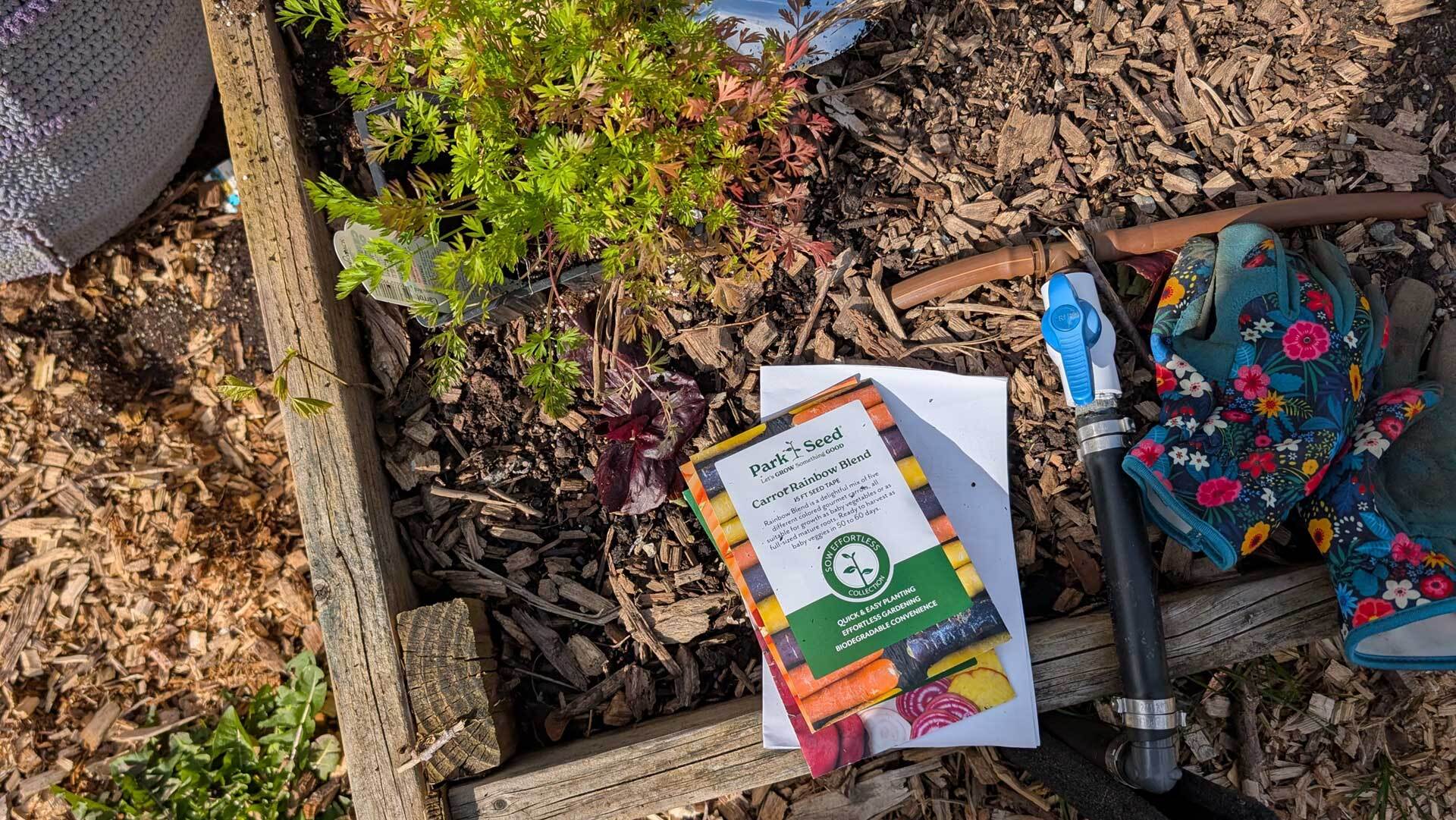 Garden Horizons Stock: Comprehensive Selection of Seeds and Gardening Gear