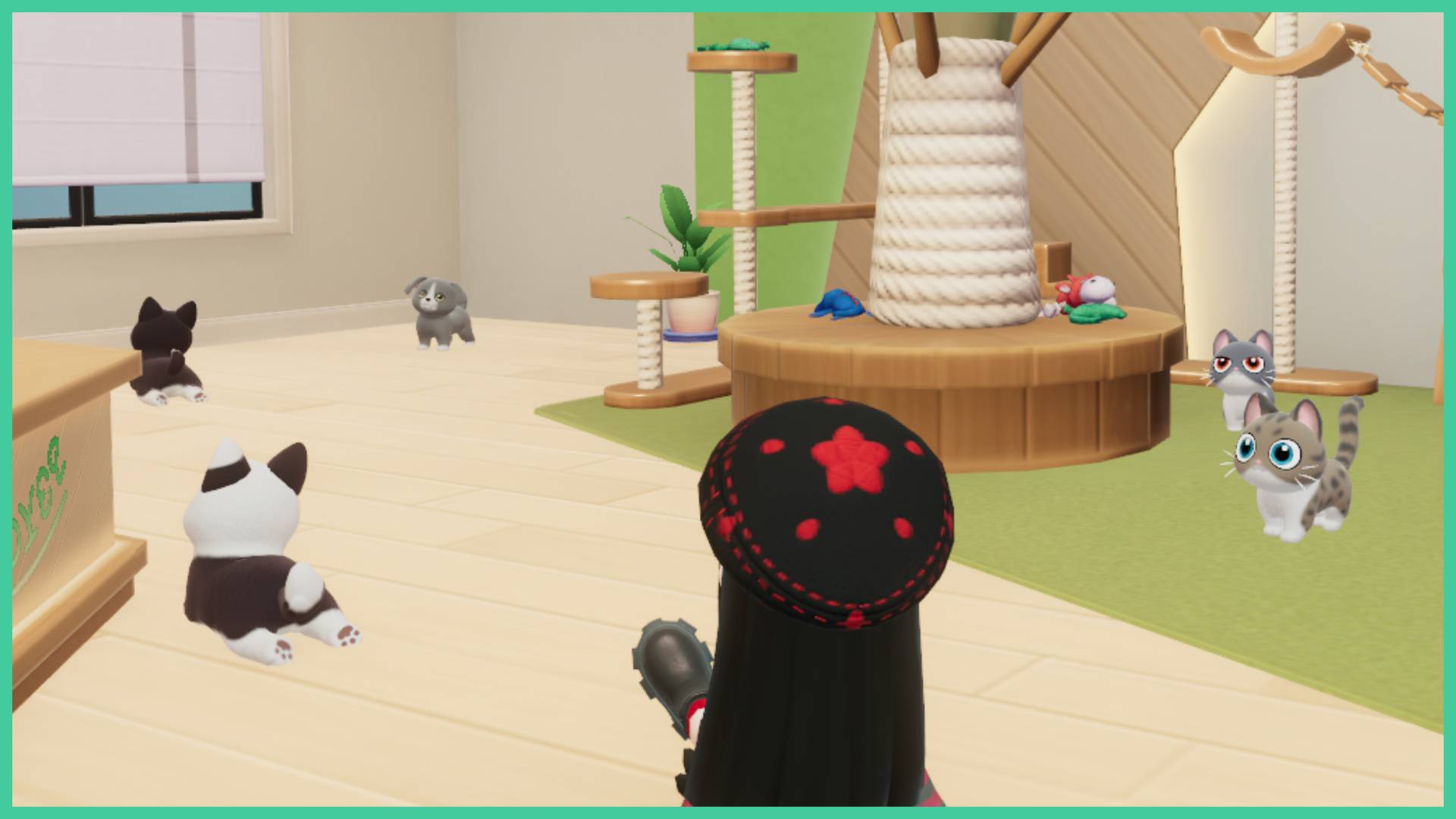 Sailor Piece Accessories Tier Ranking: Top Accessories Guide