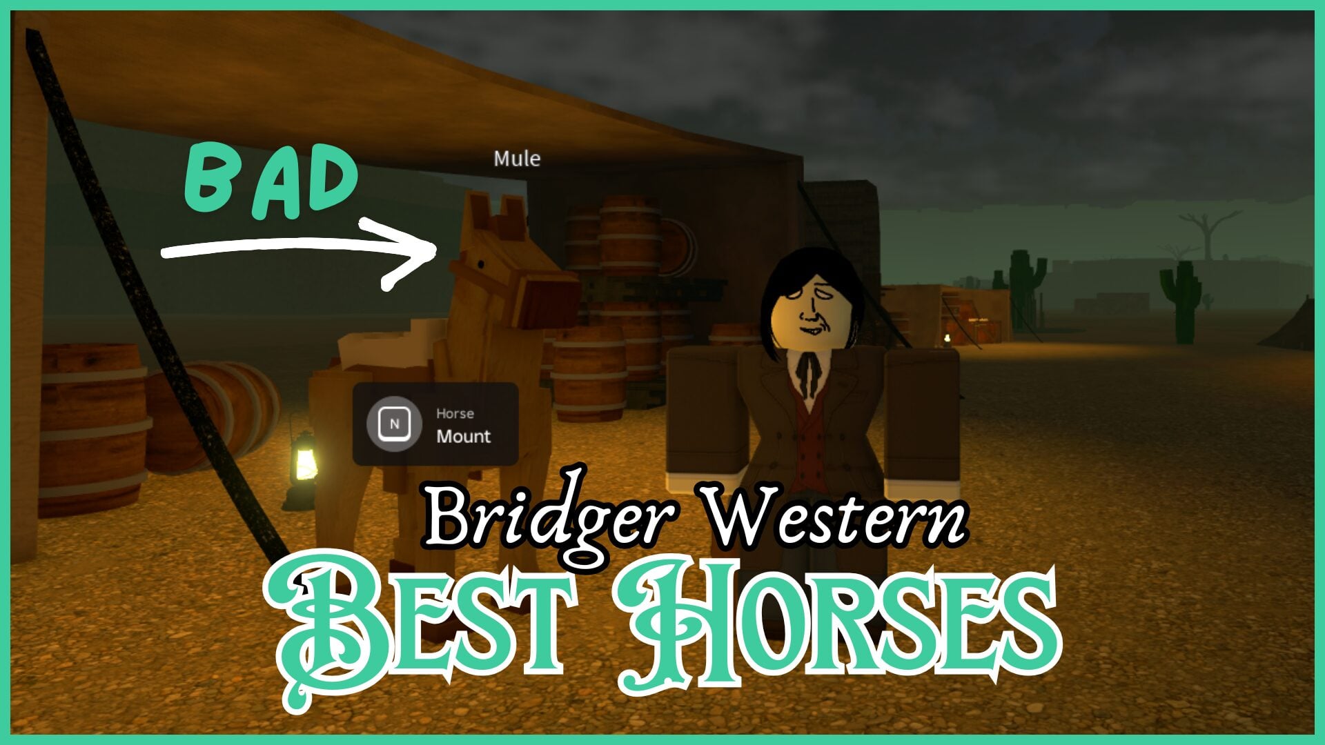 Guide to Acquiring the Finest Horses in Bridger Western