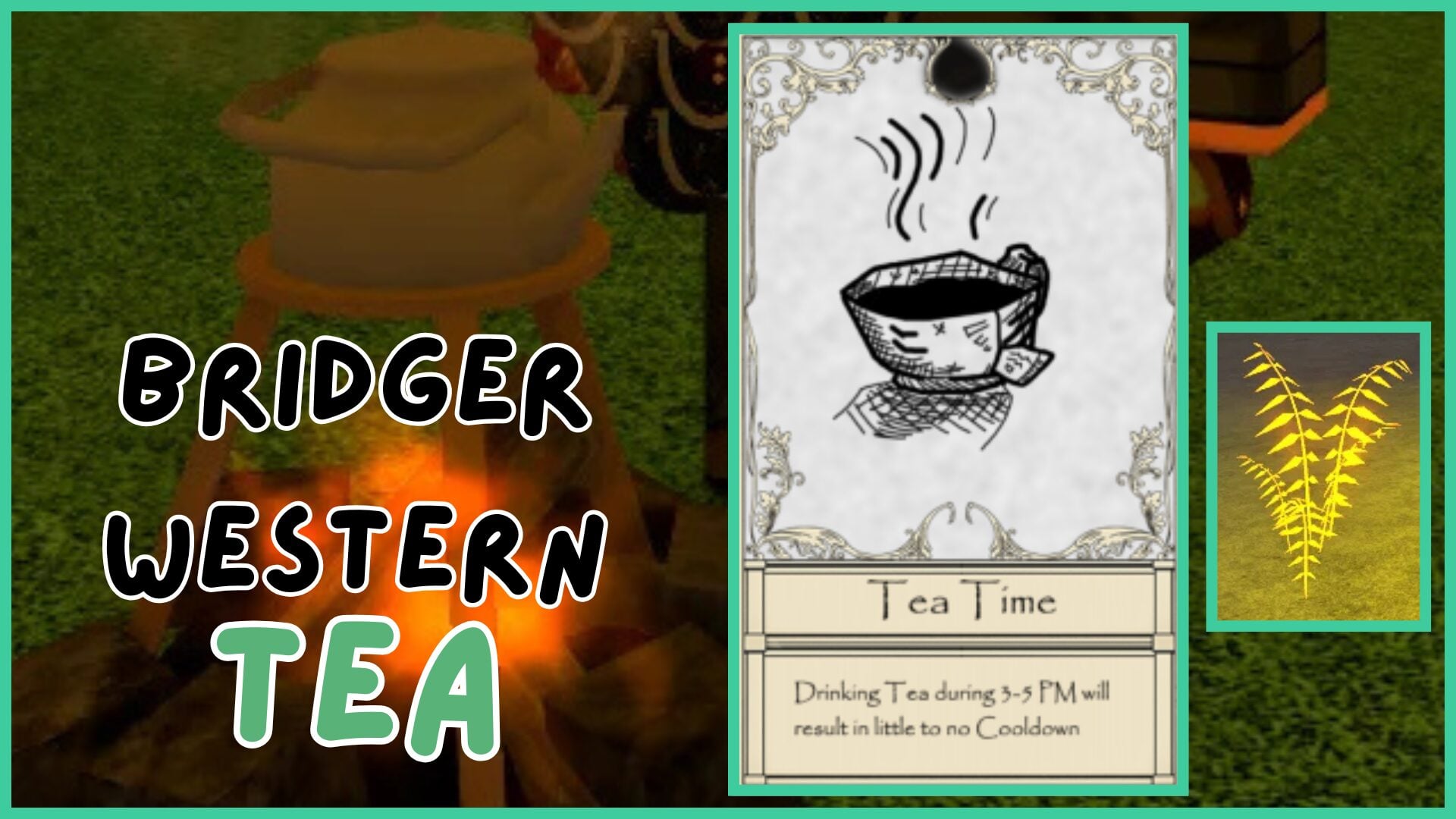 Tea Leaf Locations for Bridger Western Tea Enthusiasts