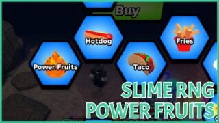 Comprehensive Guide to Slime RNG Power Fruits