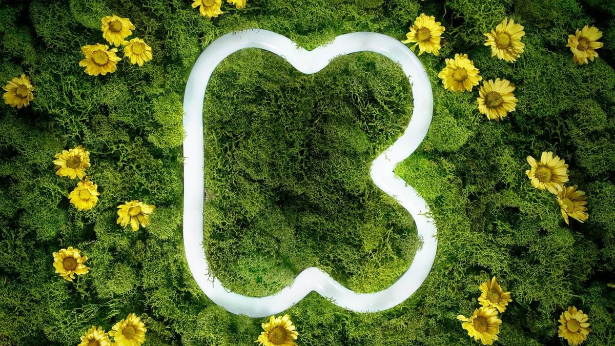 Kickstarter Removes Controversial Prohibition on NSFW Initiatives While Suggesting Stripe Holds Power to Halt Authorized Campaigns