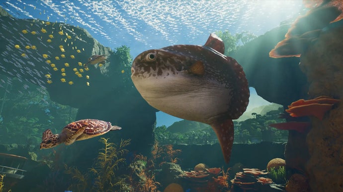 Planet Zoo 2 to Introduce Aquatic Animals Later This Year, Exciting News for Mola Mola Enthusiasts