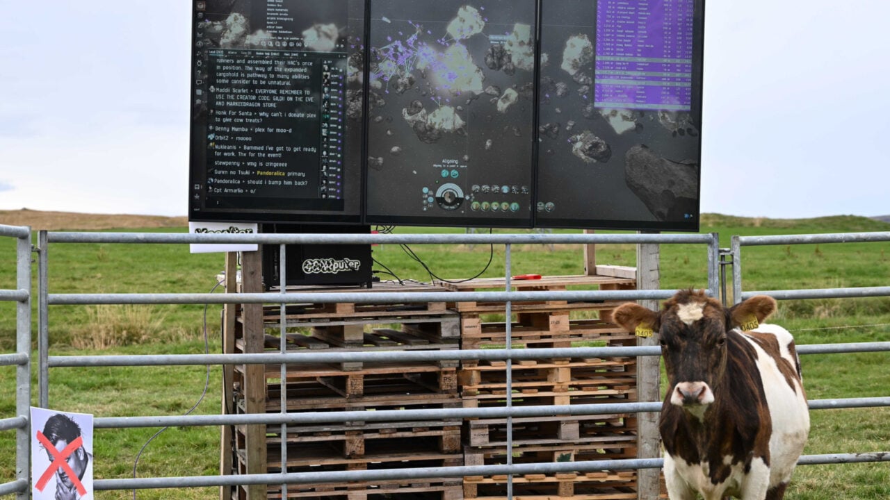 A Cow Takes Part in an Intricate Game on Twitch Live Stream