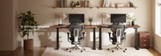 Incredible Discounts at FlexiSpot’s Latest Labor Day Sale